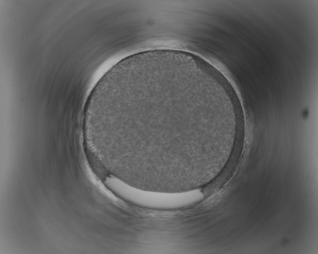X0000116121389201001040941
