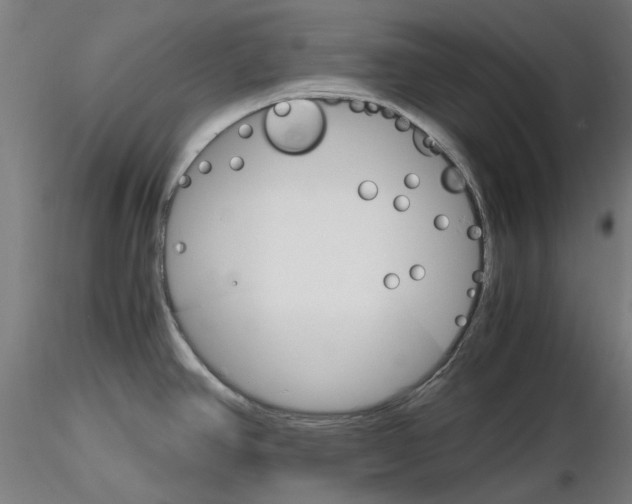 X0000116121390201001040941