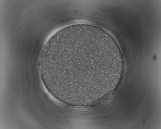 X0000116121391201001040941