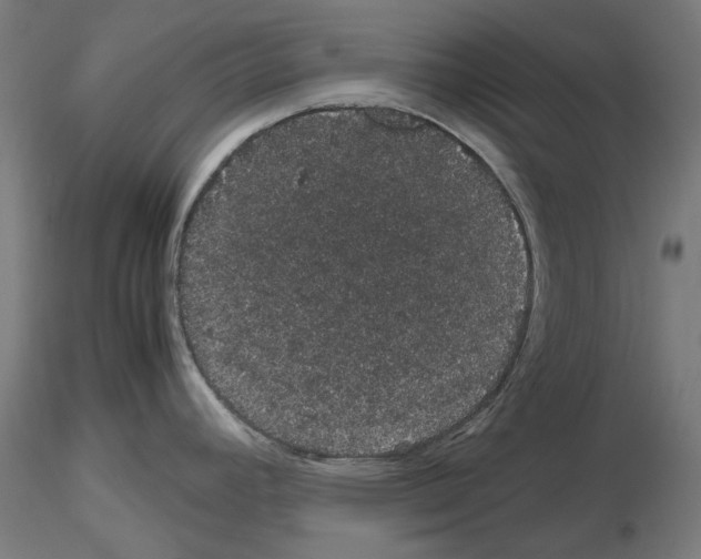 X0000116121392201001040941