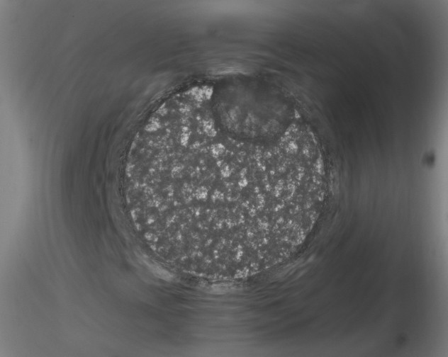 X0000116121393201001040940