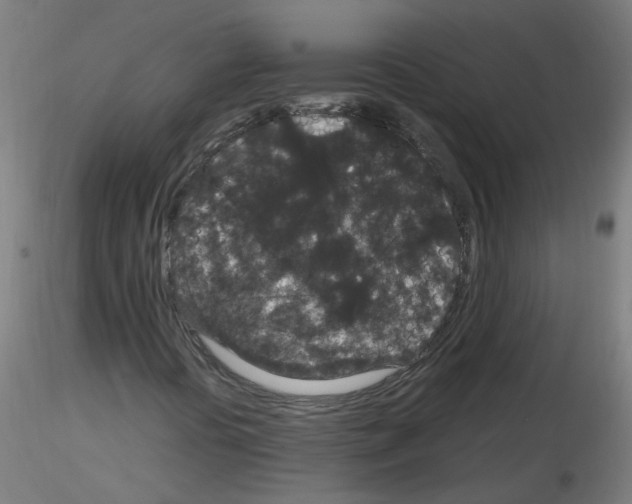 X0000116121394201001040940