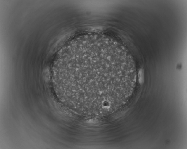 X0000116121395201001040940