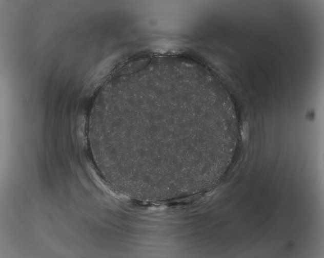 X0000116121396201001040940