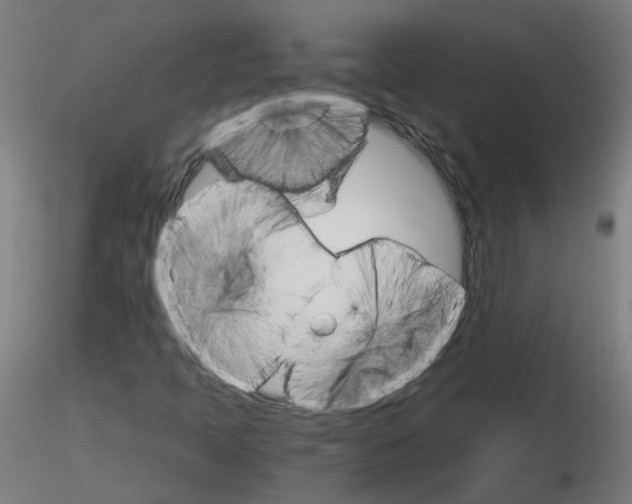 X0000116121397201001040940