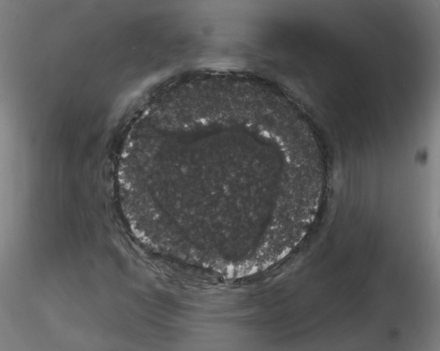 X0000116121398201001040940