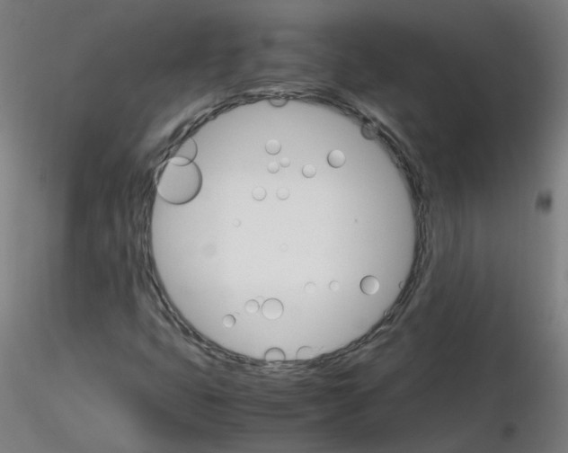 X0000116121399201001040940