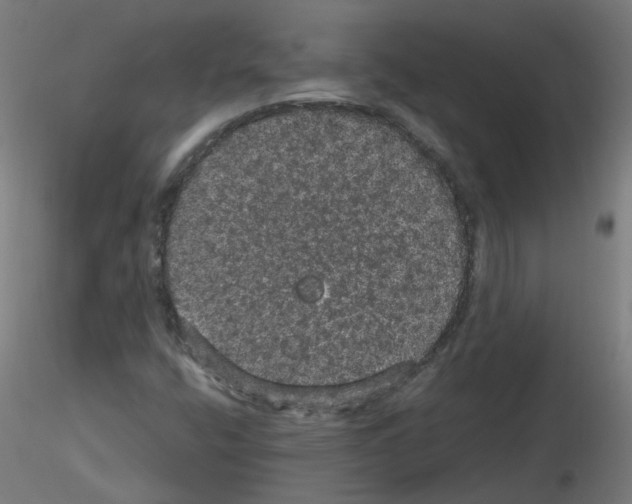 X0000116121400201001040940
