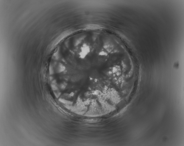 X0000116121401201001040940