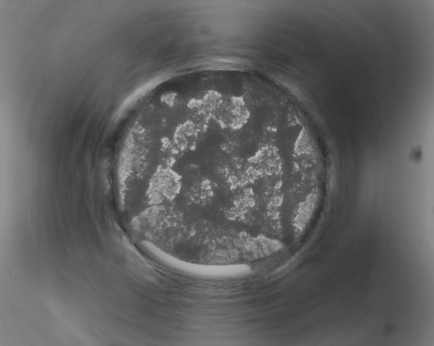 X0000116121402201001040940