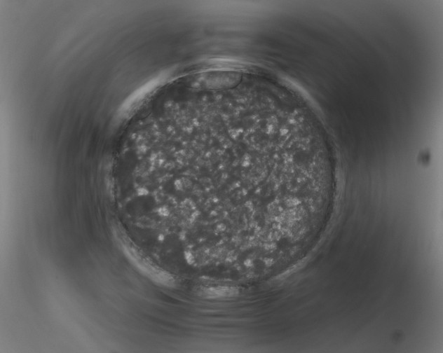 X0000116121403201001040941