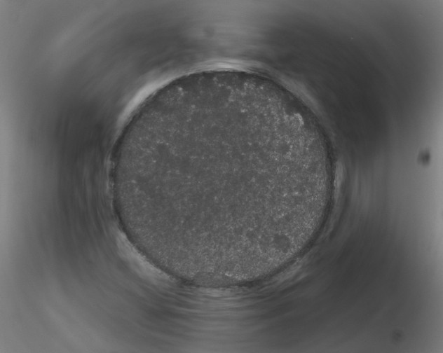 X0000116121404201001040941