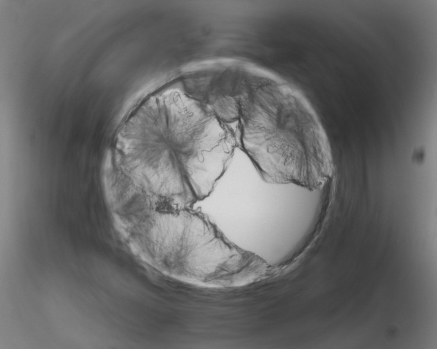 X0000116121405201001040941