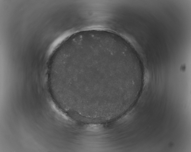 X0000116121406201001040941