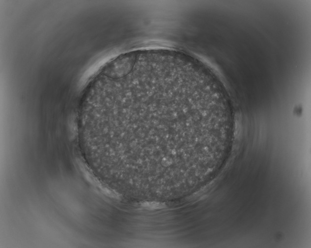 X0000116121407201001040941