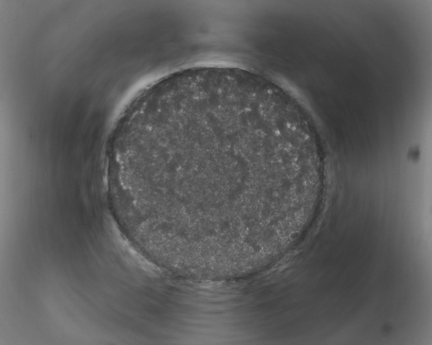 X0000116121408201001040941