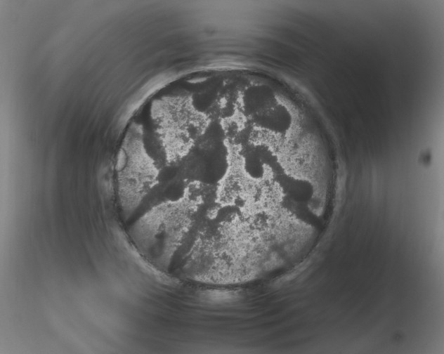X0000116121409201001040941