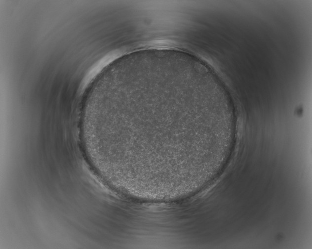X0000116121410201001040941