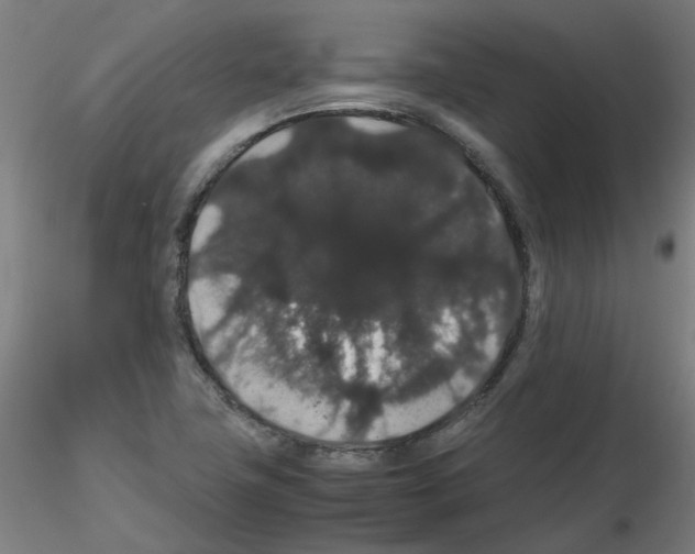 X0000116121411201001040941