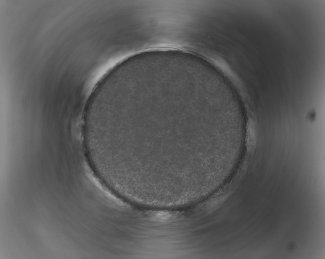 X0000116121412201001040941