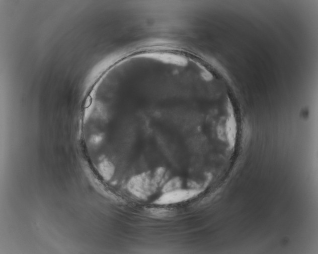 X0000116121413201001040941