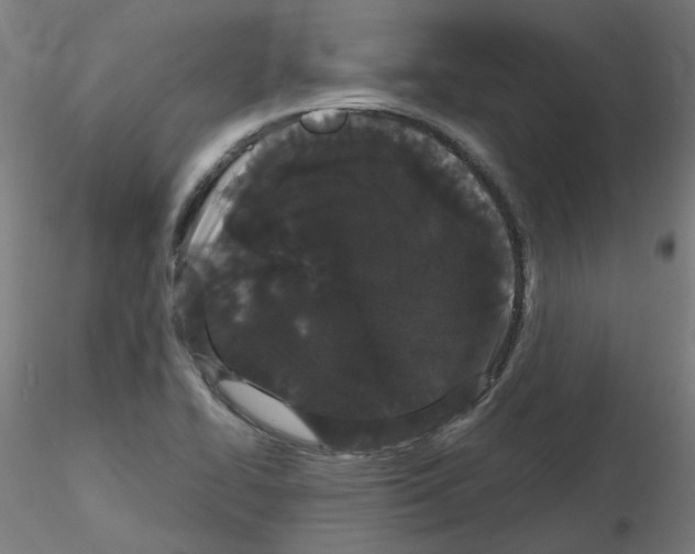 X0000116121414201001040941