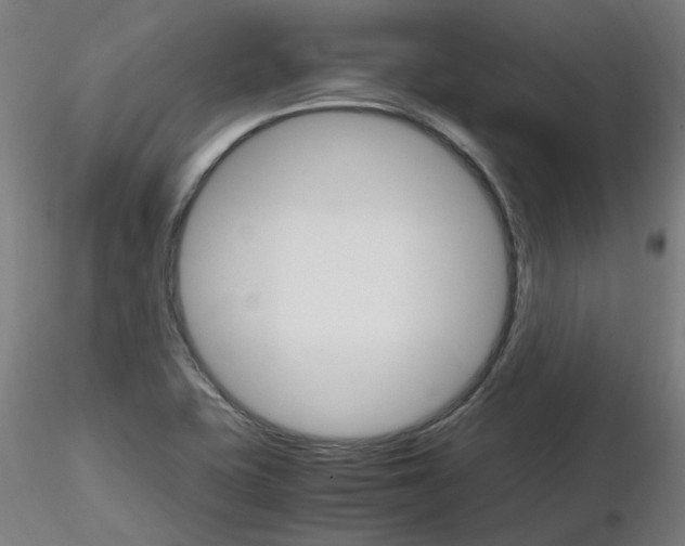 X0000116121415201001040941