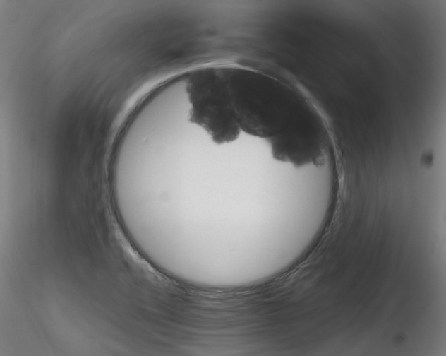 X0000116121416201001040941