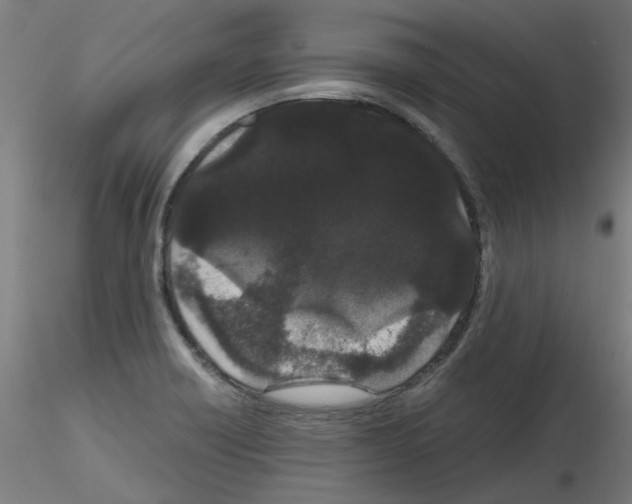 X0000116121418201001040941