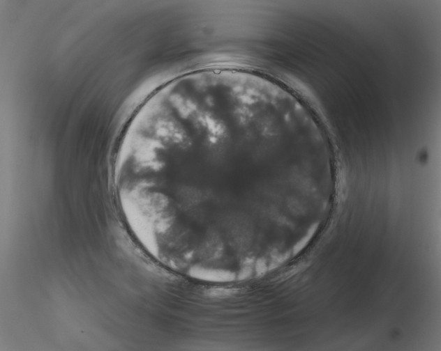 X0000116121419201001040941