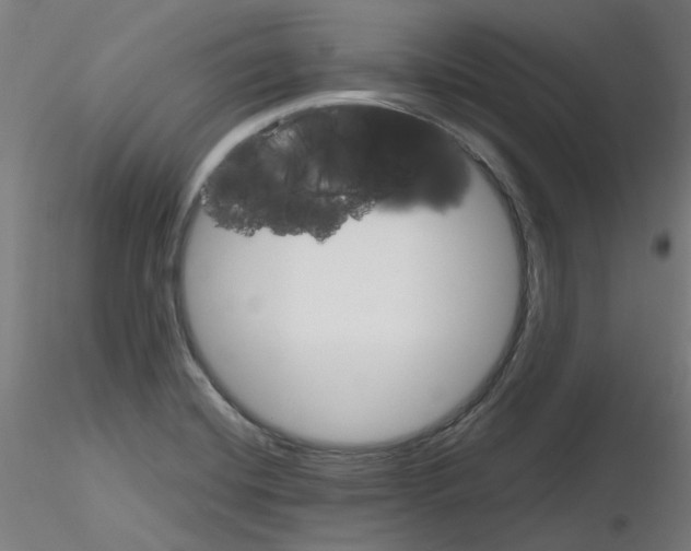 X0000116121420201001040941