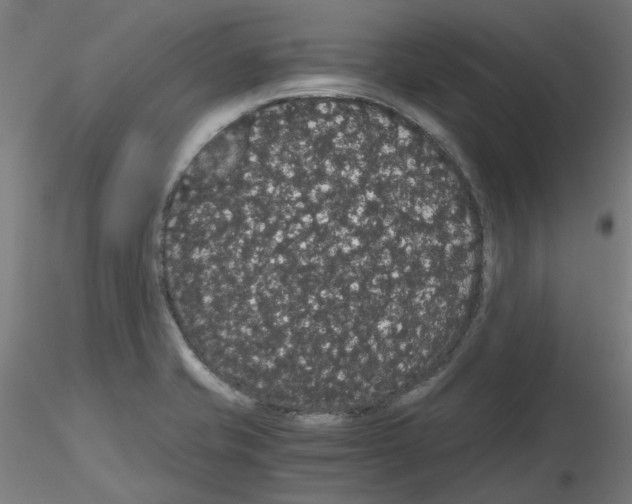 X0000116121421201001040941