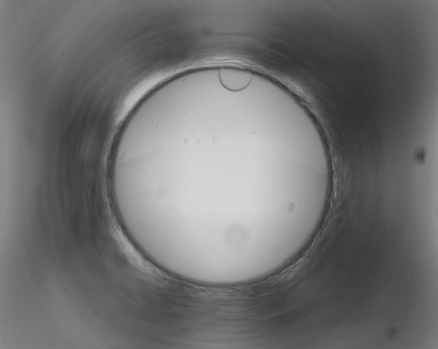 X0000116121422201001040941