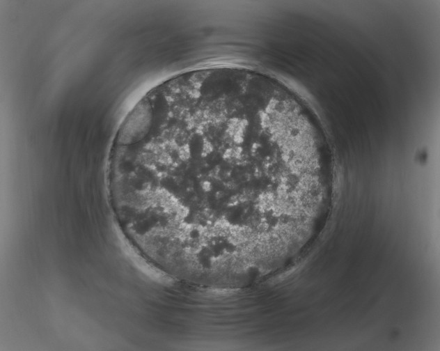 X0000116121423201001040941