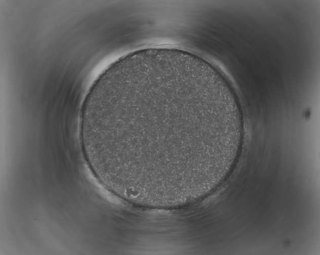 X0000116121424201001040941