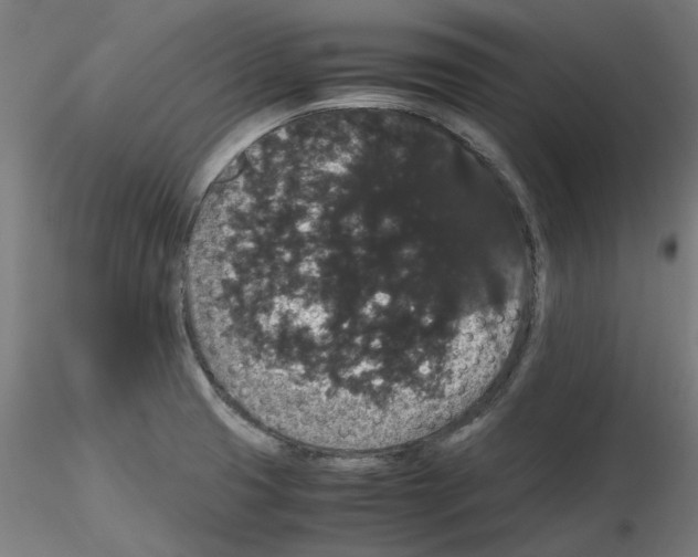 X0000116121425201001040941