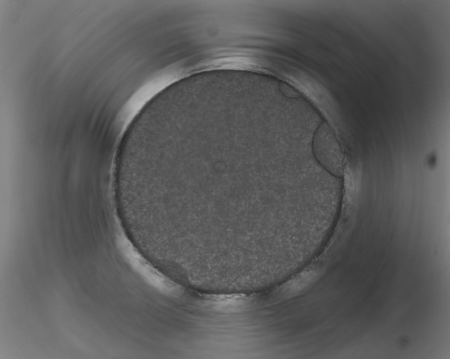 X0000116121426201001040941