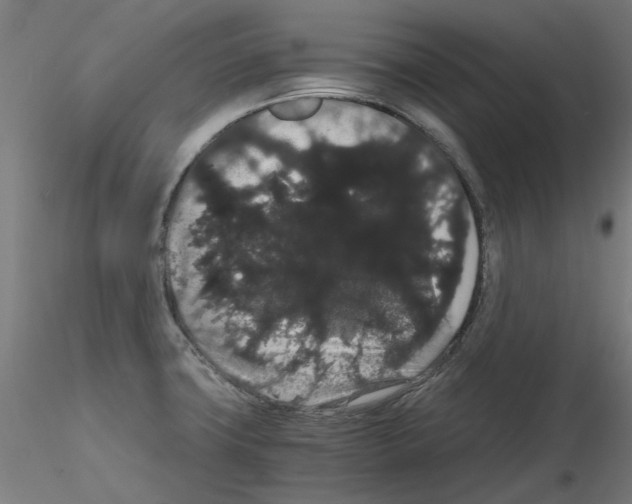 X0000116121427201001040941