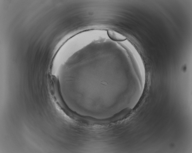 X0000116121428201001040941