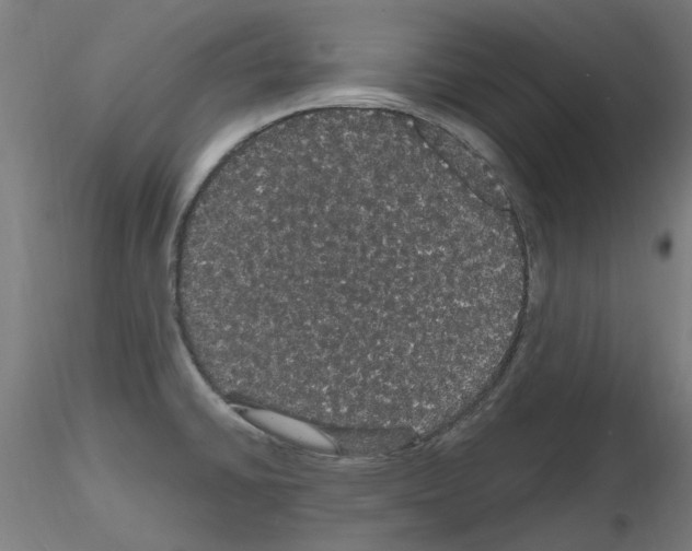 X0000116121430201001040941