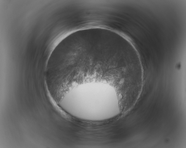 X0000116121431201001040941