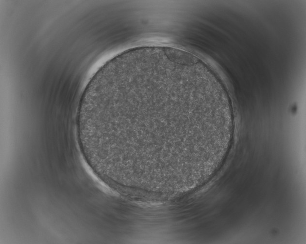 X0000116121432201001040941