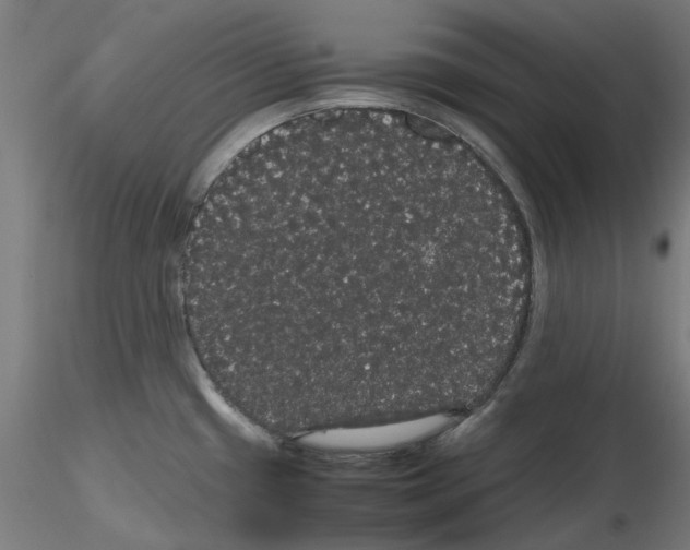 X0000116121433201001040941