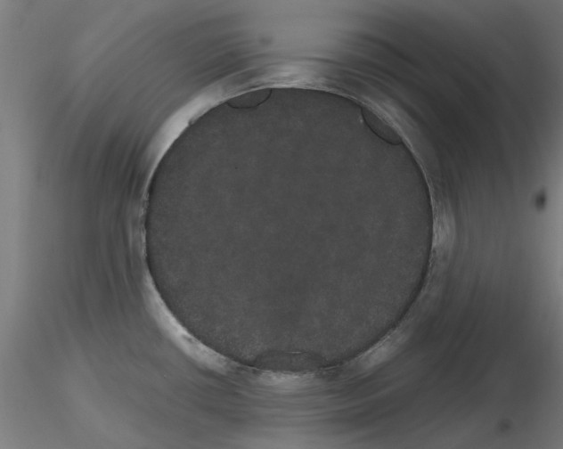 X0000116121434201001040941