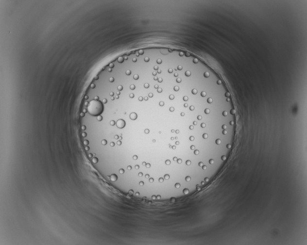 X0000116121435201001040941