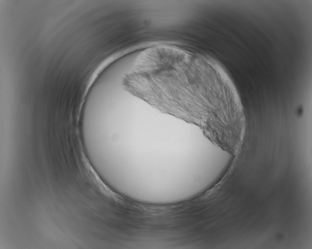 X0000116121436201001040941