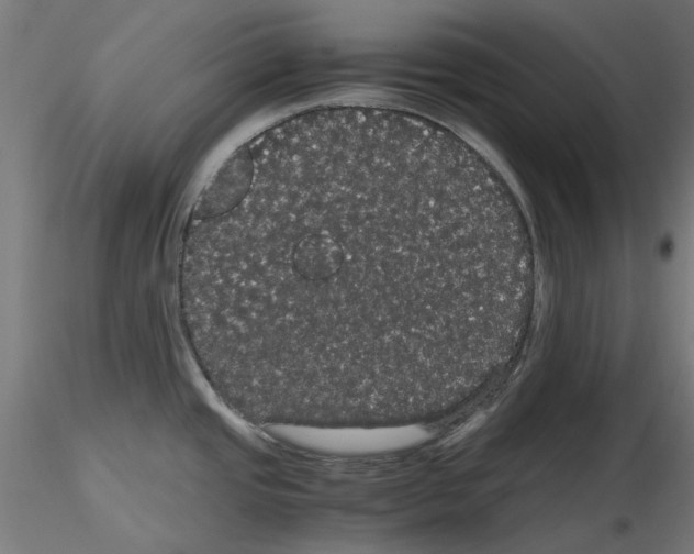 X0000116121437201001040941
