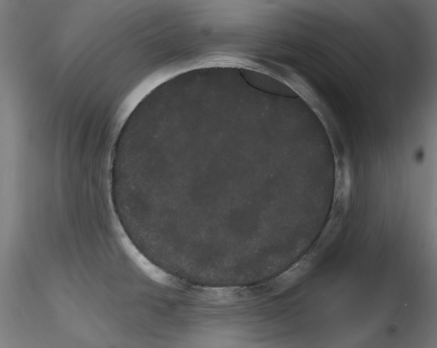 X0000116121438201001040941