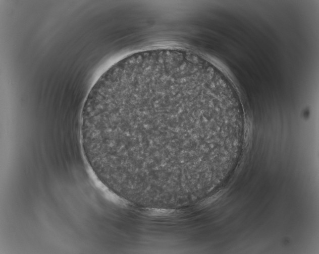 X0000116121439201001040941
