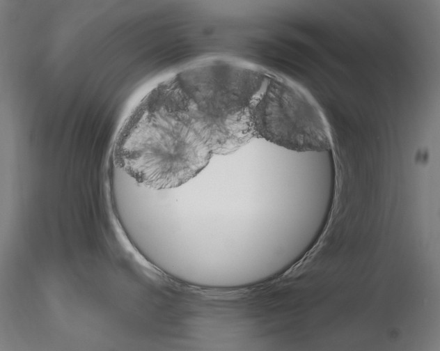 X0000116121440201001040941